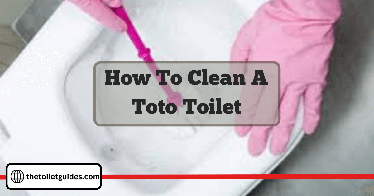 how to Clean A Toto Toilet