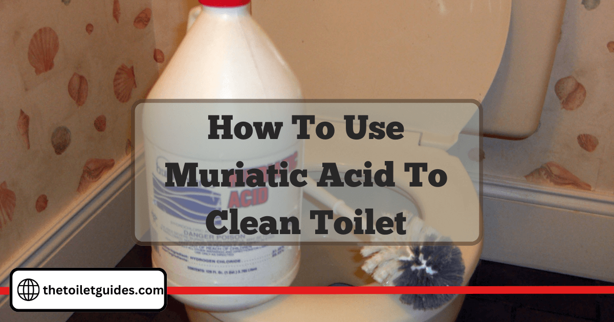 Muriatic Acid To Clean Toilet