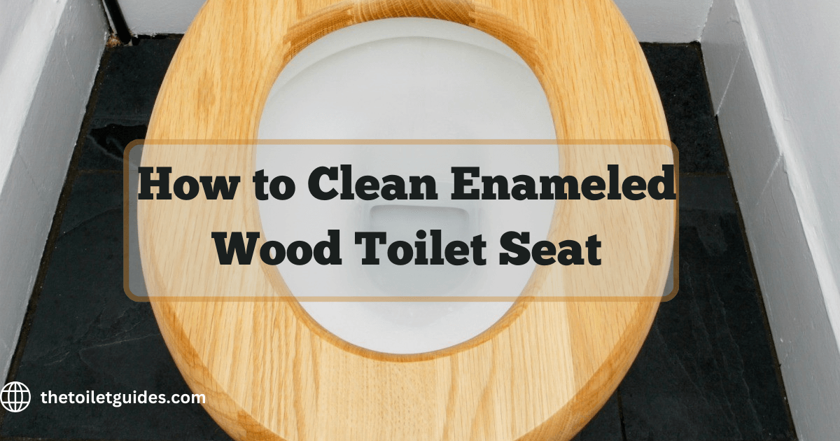 how to clean Enameled Wood Toilet Seat