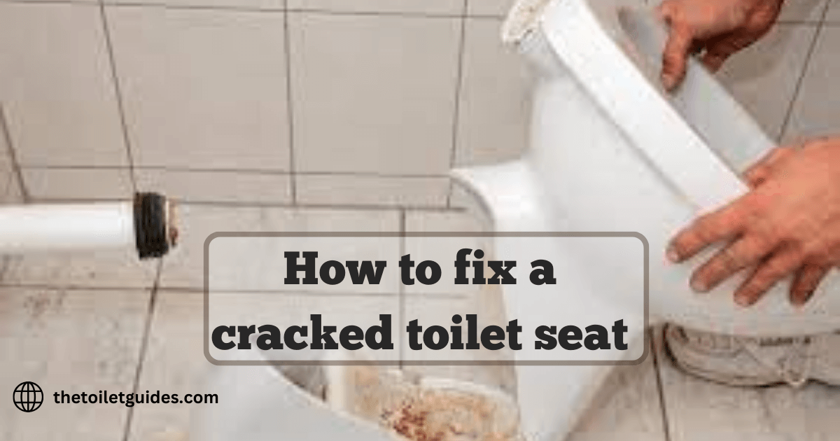 fix a Cracked Toilet Seat