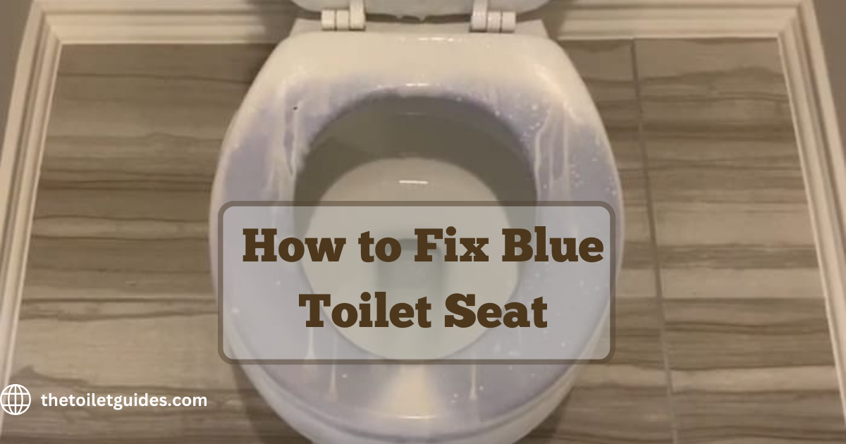 how to fix blue toilet seat